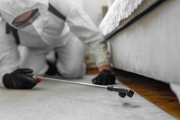 Professional Bed Bug Control technician working in West Brattleboro, VT